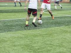 双色球揭秘,期必杀号揭,双色球,江苏体彩,江苏体彩网,江苏体彩网官网,体育彩票,体彩大乐透,竞彩足球,体彩公益