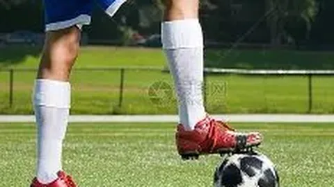 神秘禁令：探索403访问被拒的奥秘！