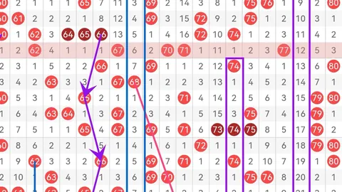 大乐透26034期专家质合比推荐分析