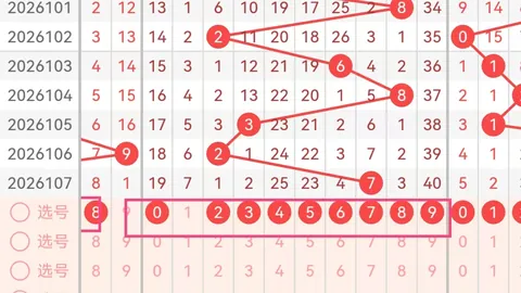 郑飞福彩3D第2026112期预测：直选偶奇偶组合，胆码聚焦