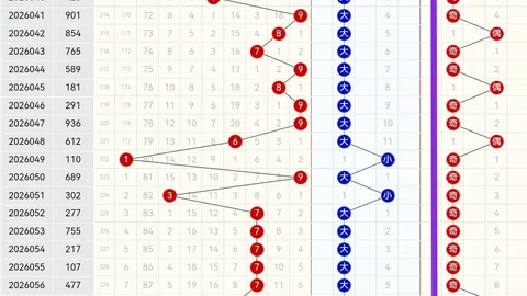 2026055期 大乐透期号麒麟八侠精选五胆码推荐